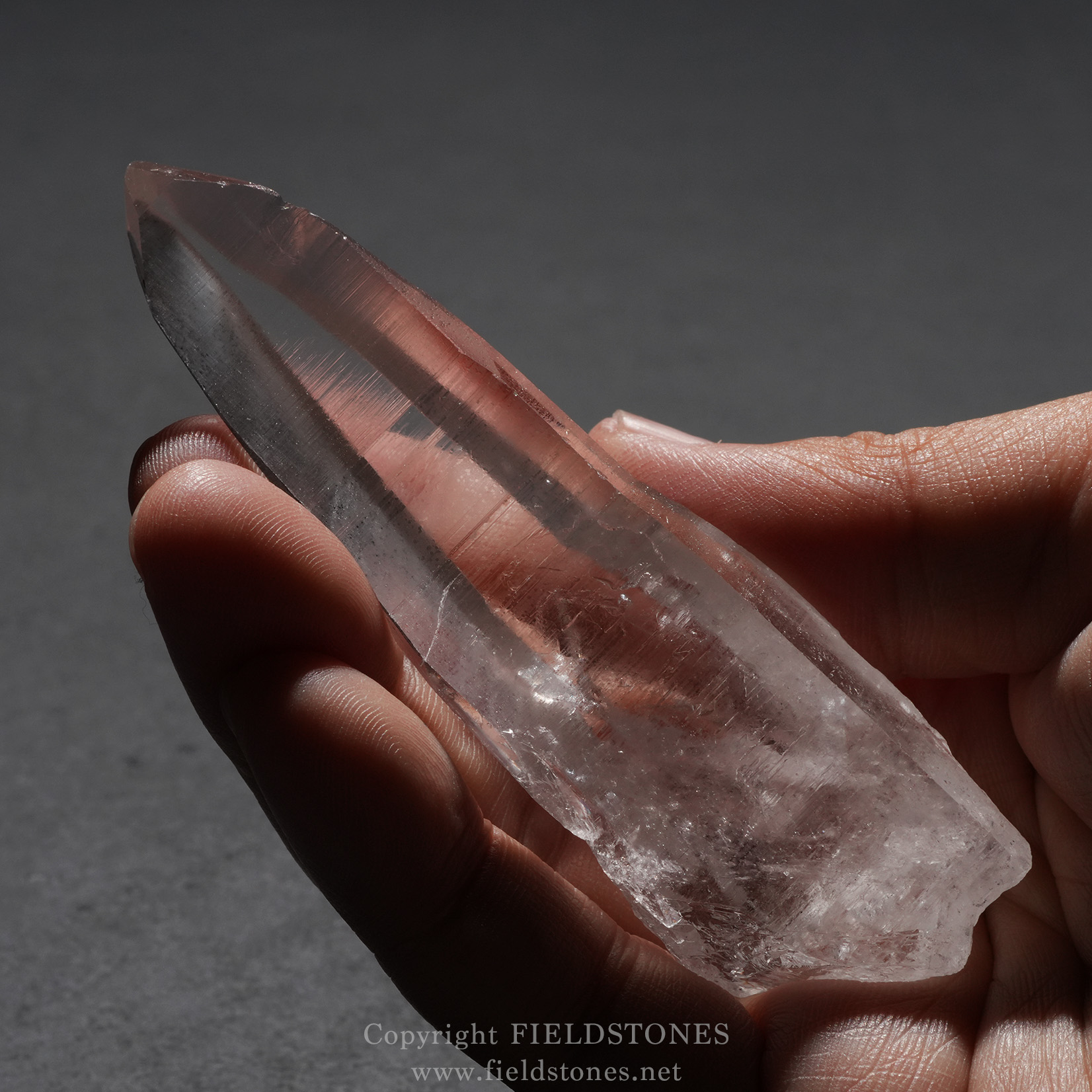 ピュアレイを選ぶ - FieldStones