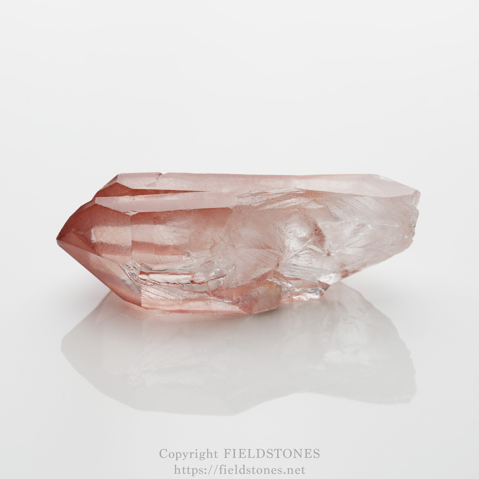 より幸せに、より軽やかに生きる全ての人へ～ピンクレムリアンシード