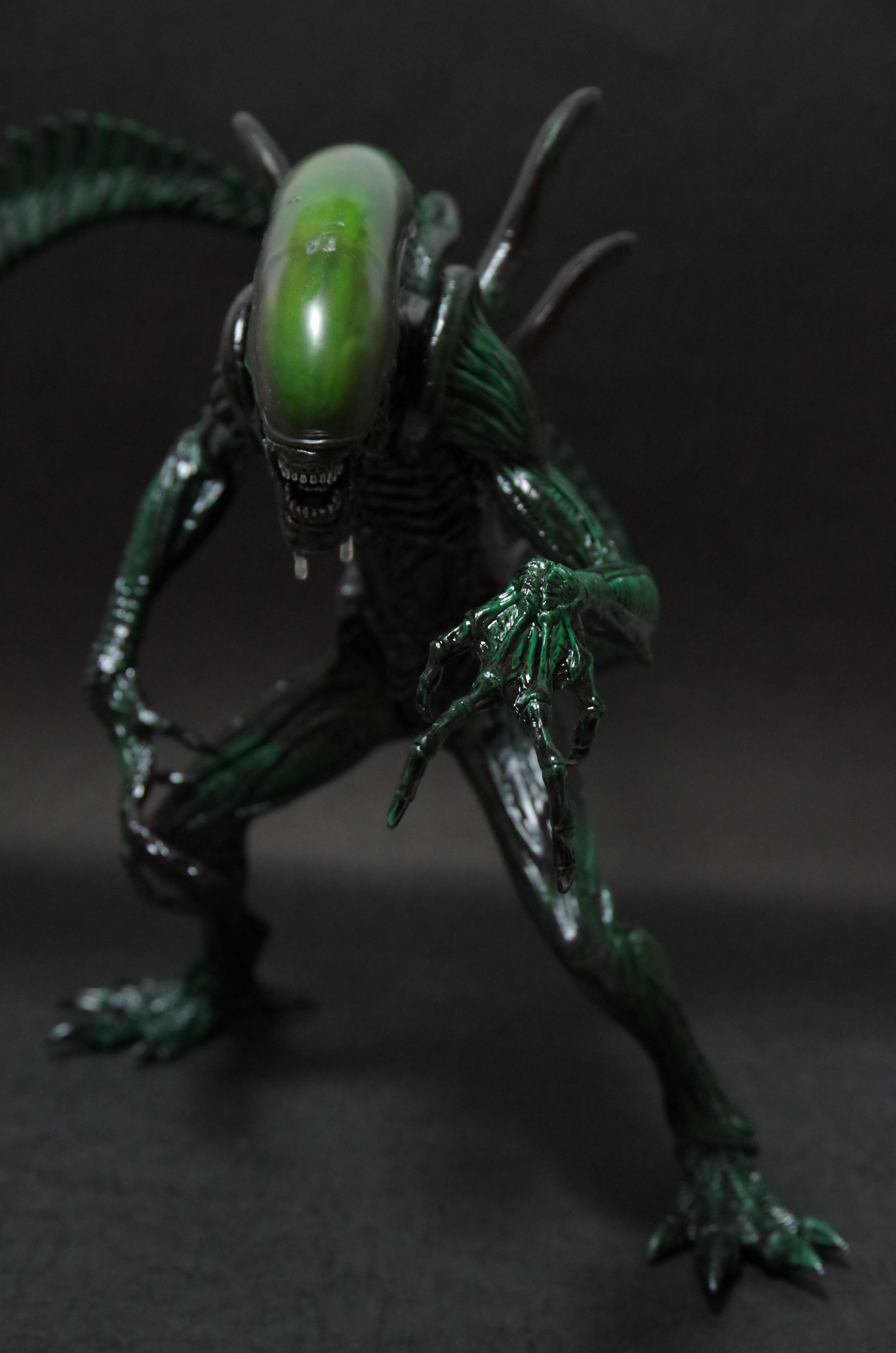 エイリアン SSSプレミアムBIGフィギュア スペシャルカラーエディション