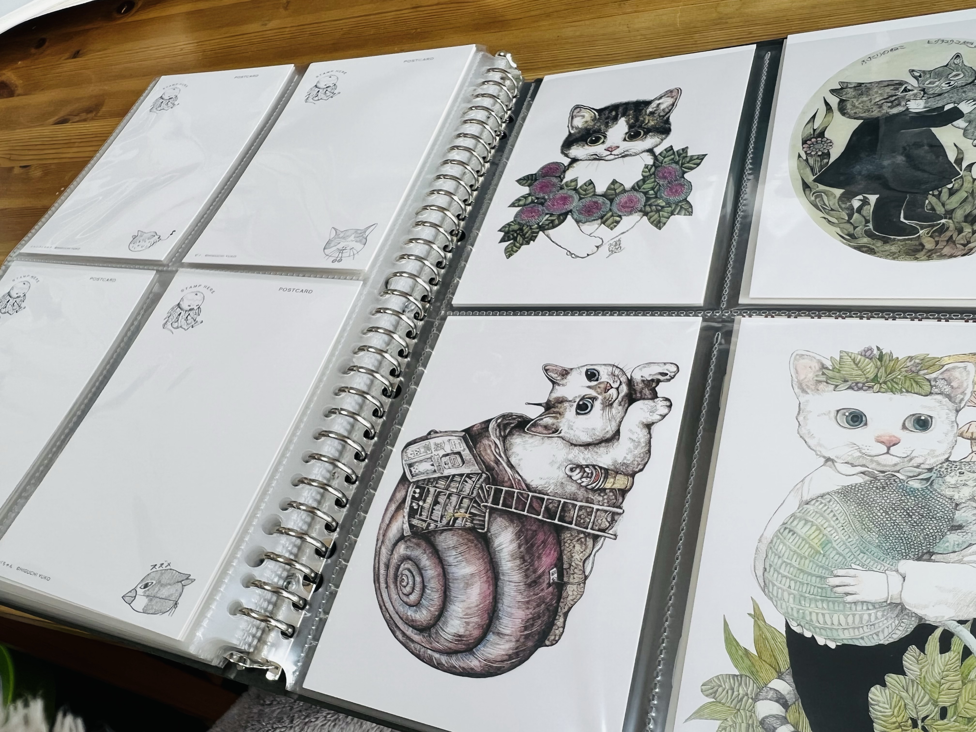 ポストカードとクリアファイルの保管方法 – 夜の果てへの旅