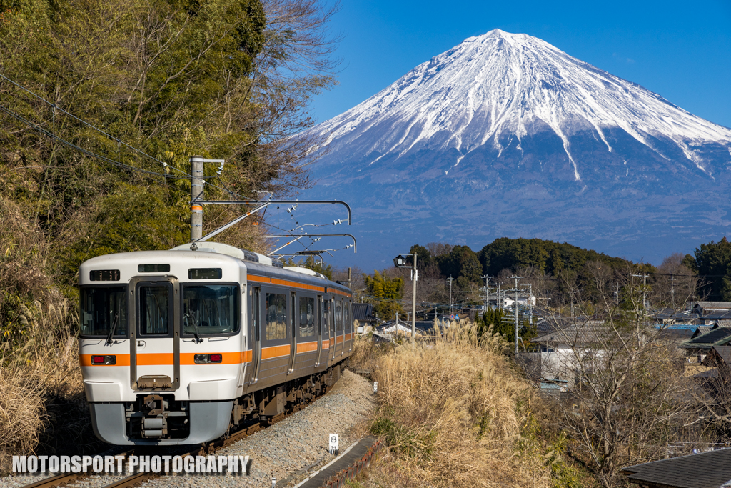 有名鉄道撮影地巡り】富士山をバックに特急ふじかわ号を撮る！【身延線