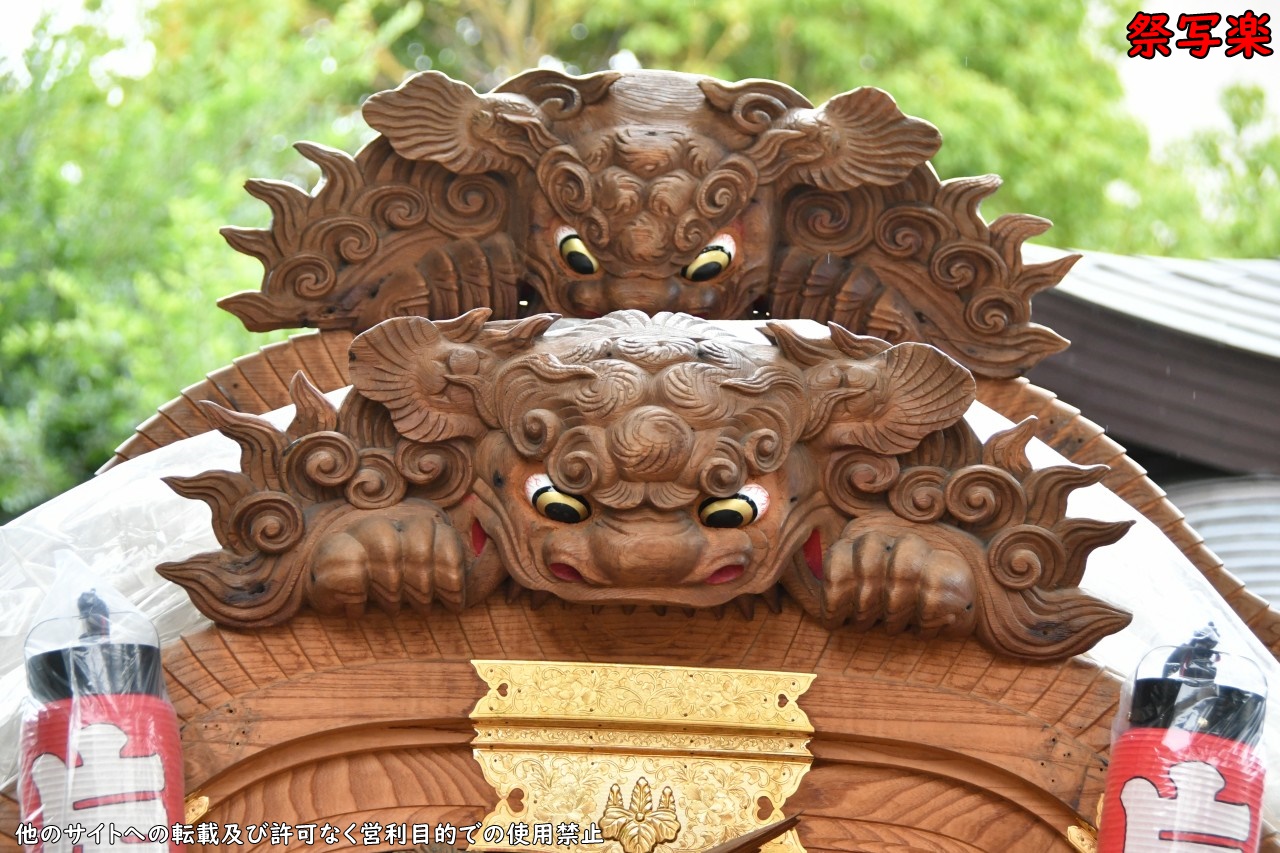 獅噛み（飾目）ダブル特集 | 祭写楽