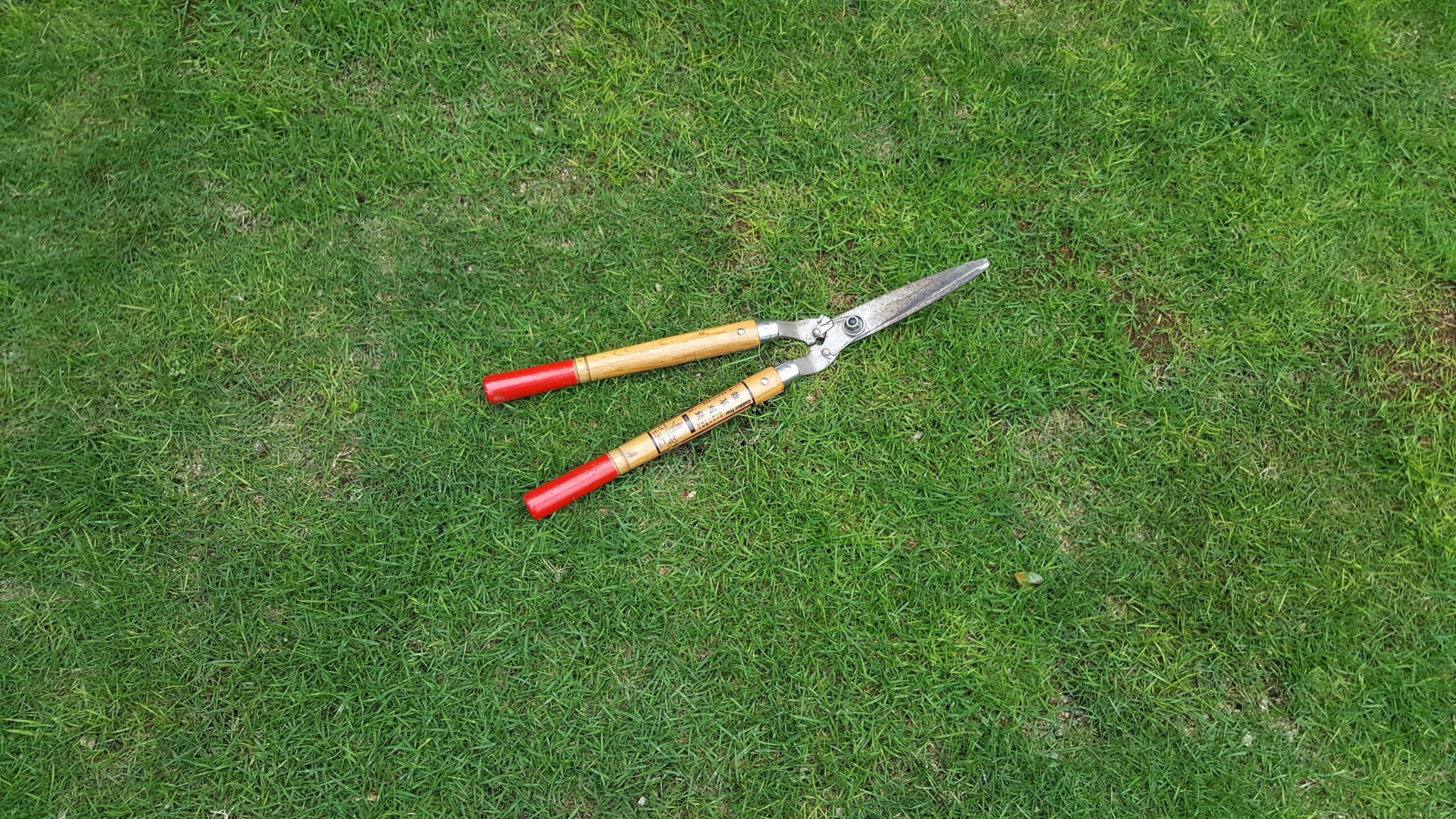 20210524_165329-scaled.jpg?fit