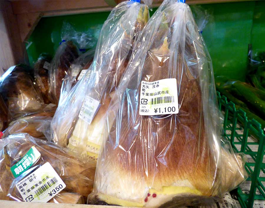 入荷情報]4月3日 大きめの筍の入荷も始まりました！ | 道の駅 みのりの