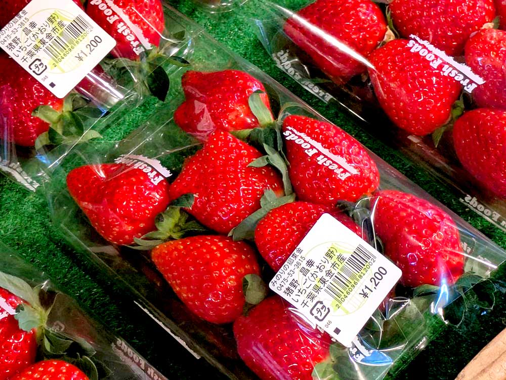 入荷情報]11月14日 本日も「東金いちご」が並びました！人参やキャベツ