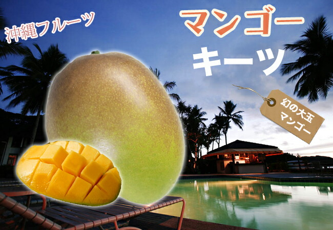 キーツ マンゴー の特徴と育て方 kaju_mango-02sp | 苗木部の部室