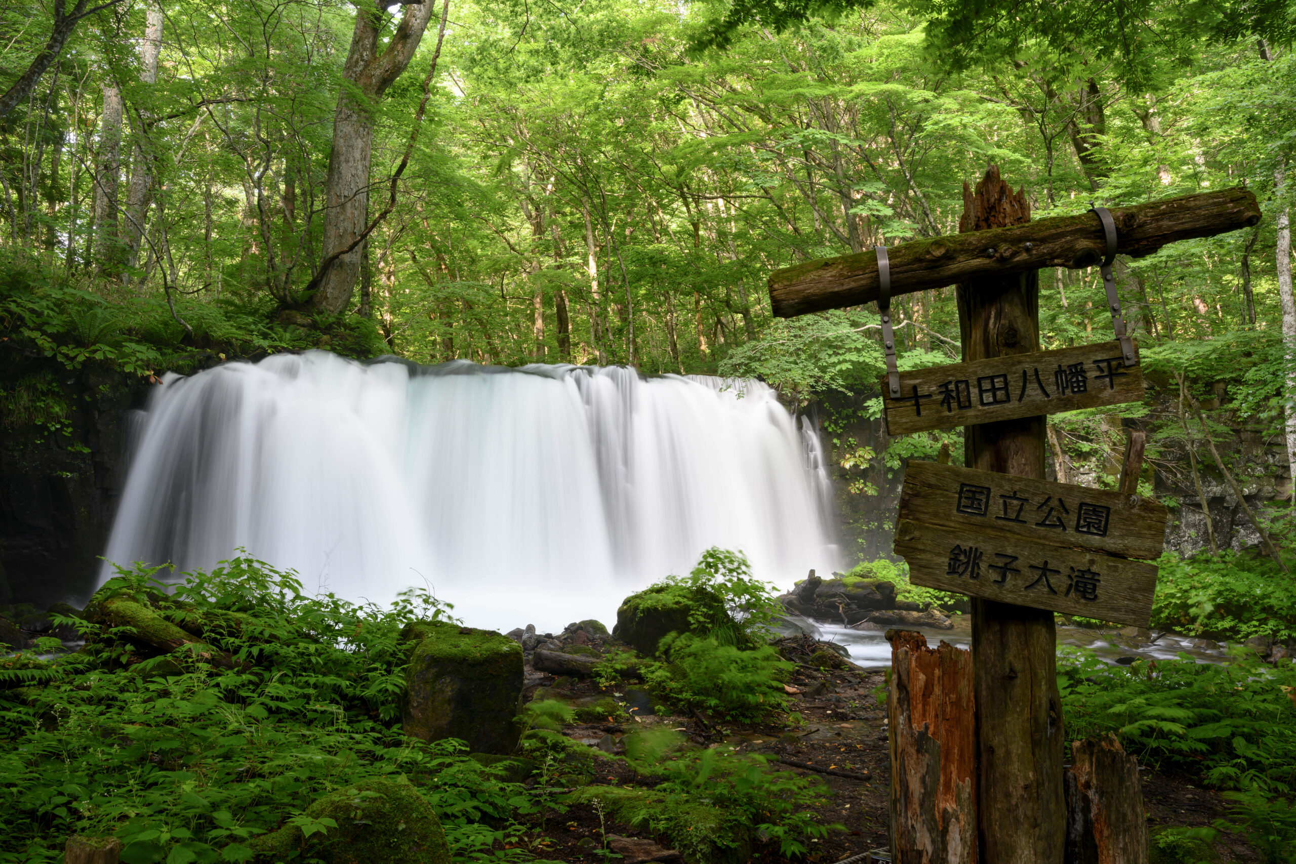 夏に青森の奥入瀬渓流へ行って撮影をしてきた【Nikon Z7＋Z14-30mmf4
