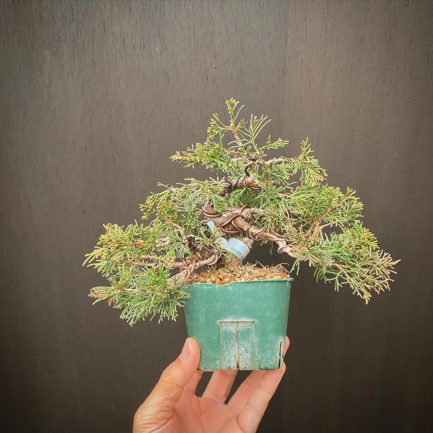 C332BA00-8691-4FEC-9AC9-