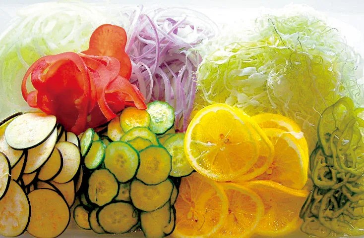 DX-100｜製品一覧｜野菜加工機、フードスライサーのことなら 株式会社