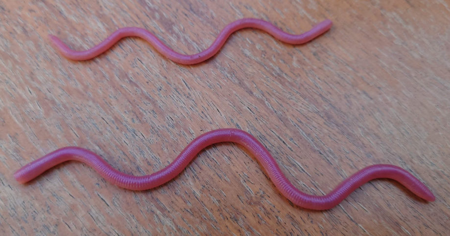 MMZ（デカ）】超リアルなサイト専用食わせ系ワームに約13inのマグナム