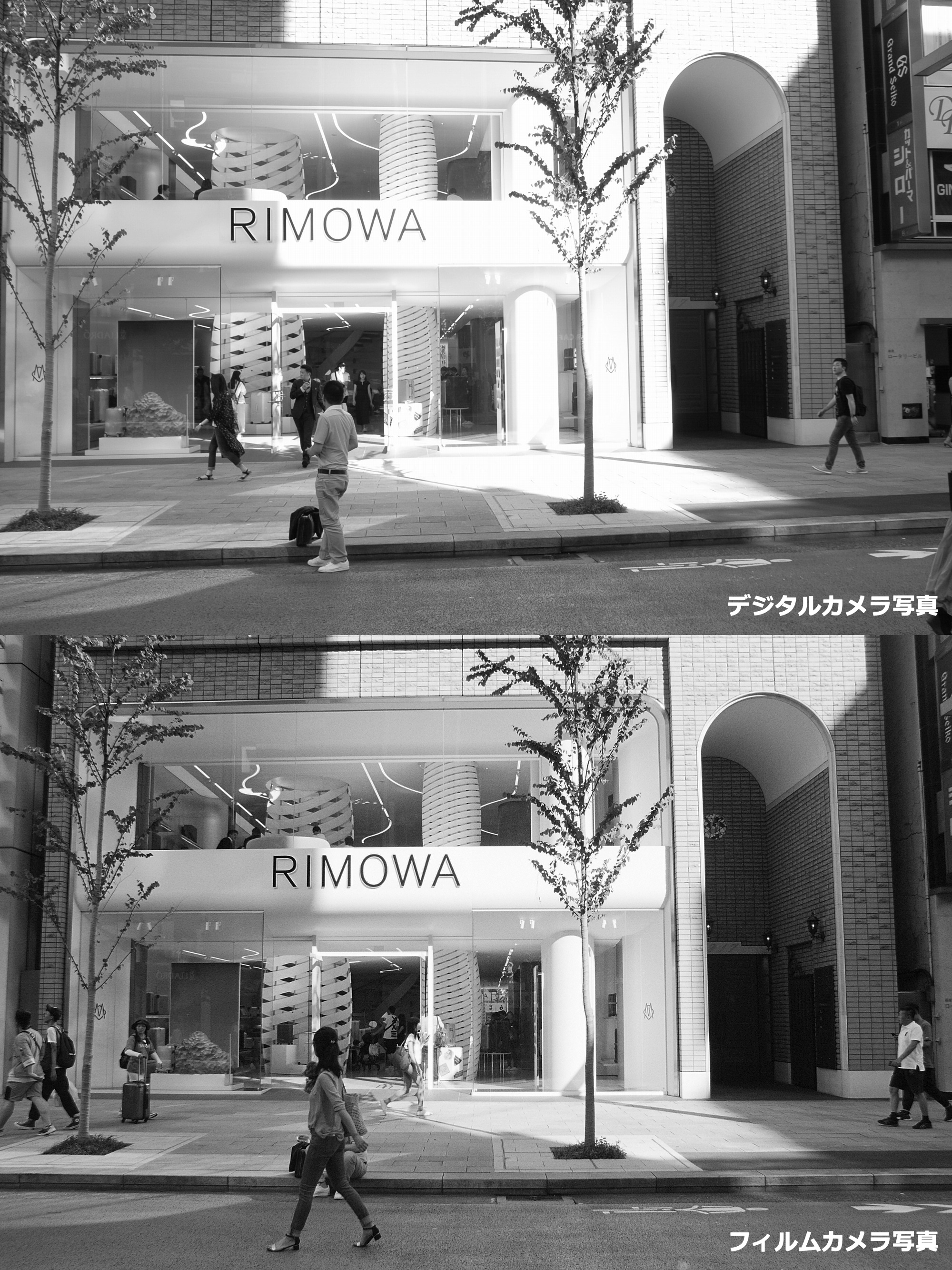 キヤノン一眼レフシリーズカメラカタログ（1979年11月20日配布物