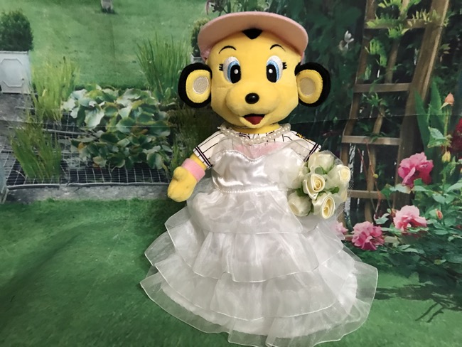阪神タイガース】ラッキーとトラッキーのウェルカムドール｜結婚式DIY