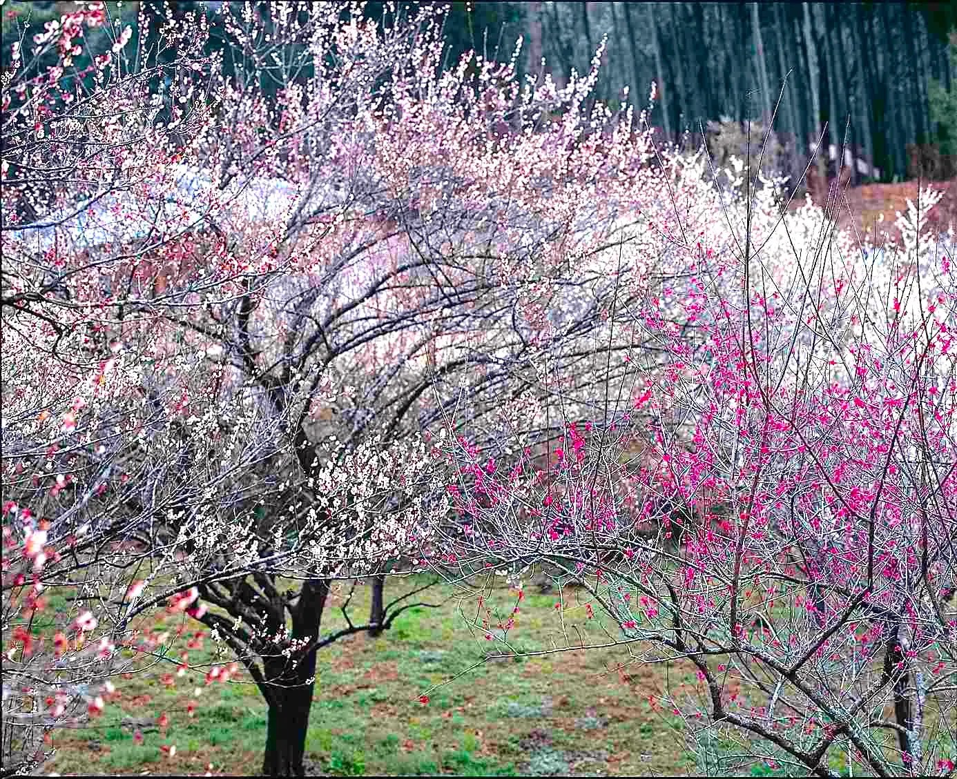 中室田の接吻道祖神 | ニッポン旅マガジン