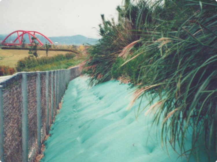 長期対応型）植樹防草シートスーパー S.S.タイプ | 商品情報 | 谷口