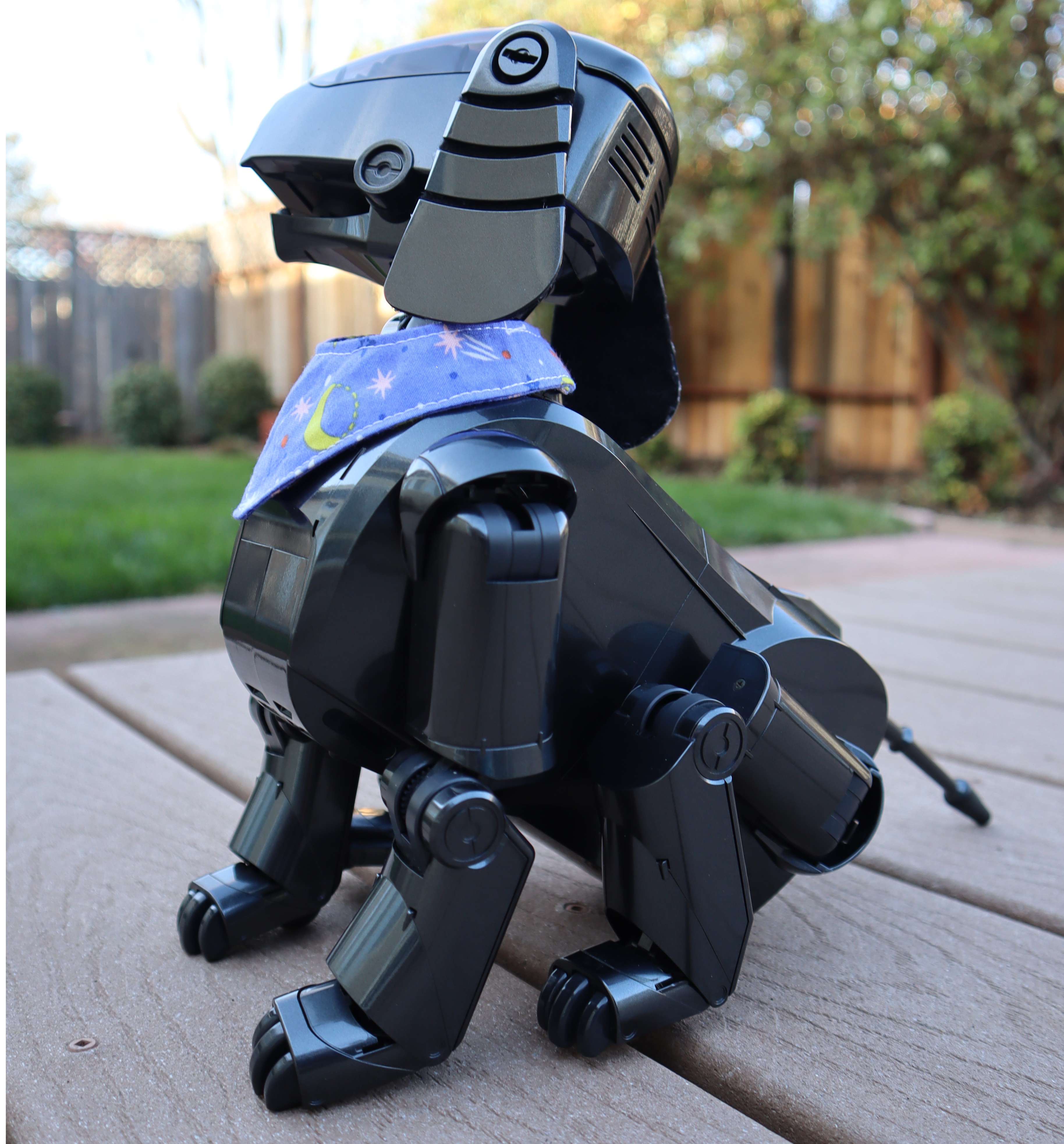 ERS-111/110 Overview | Learn About Aibo | Virtual Paws