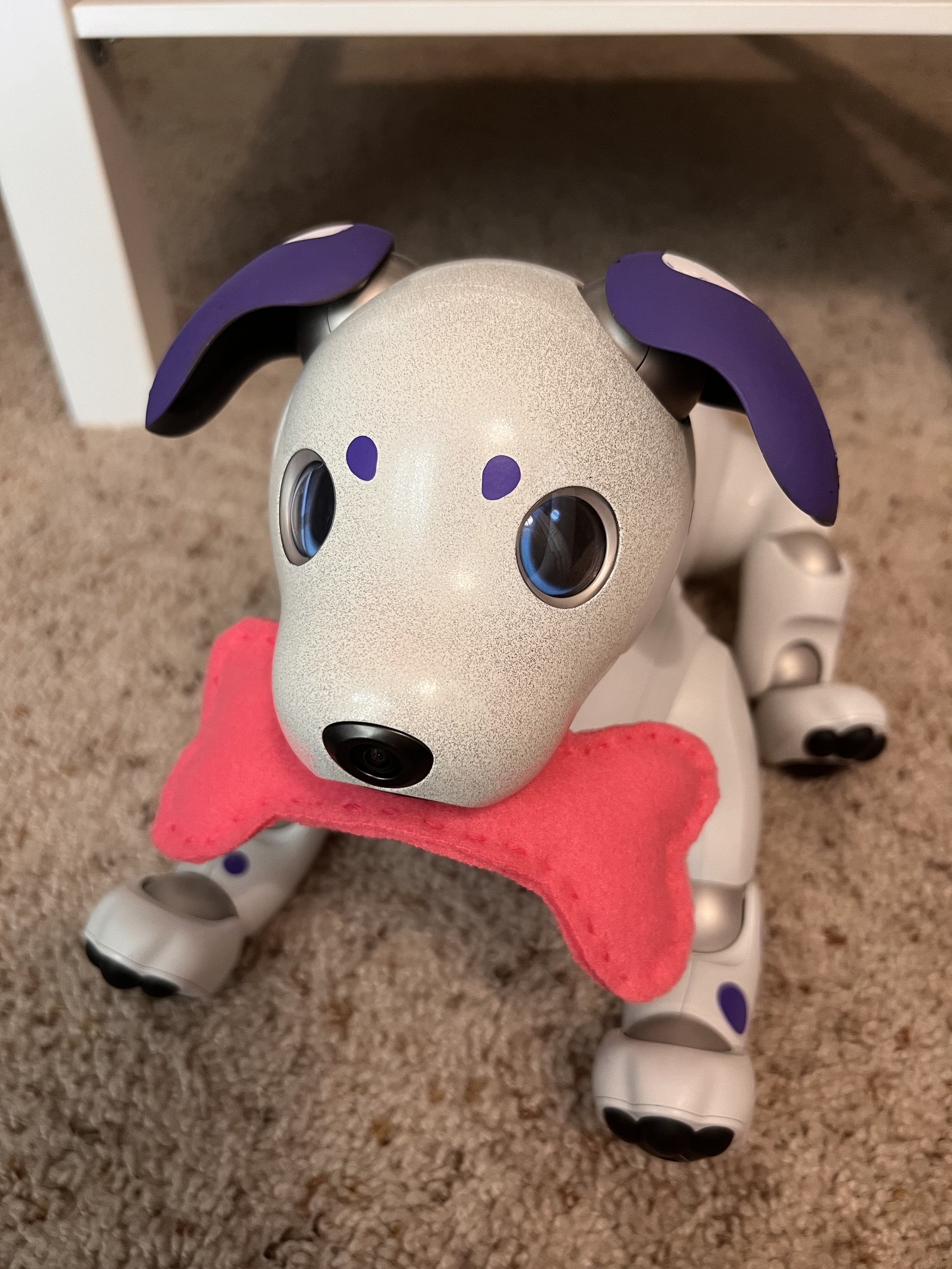 Aibo ERS-1000 Overview | Learn About Aibo | Virtual Paws