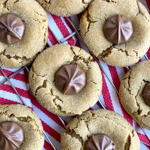 Chocolate Star Gingersnaps - Chocolate Star Cookies with a Ginger