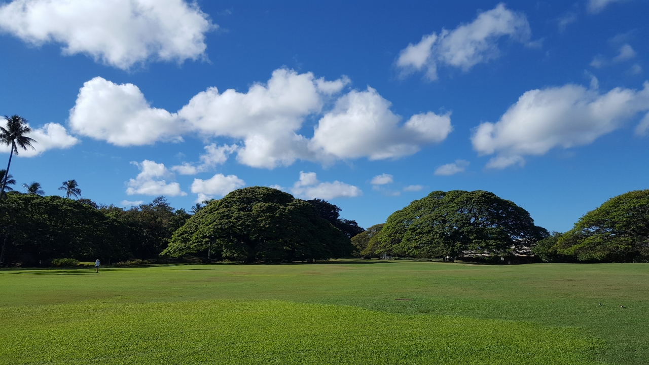 この木なんの木（日立の木）があるモアナルアガーデンの魅力を徹底紹介