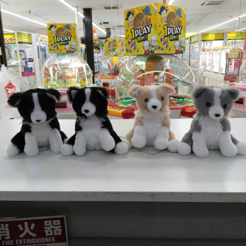 くったりボーダーコリー おりこうさんが登場！ - UFO基ゃっ地ゃ