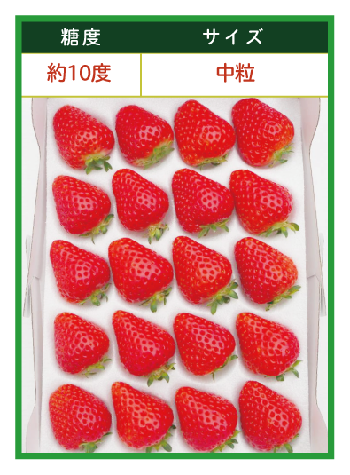 出荷：注文後7〜10日】クイーンズベリー 長野 真心 M(20玉） | いちご通販