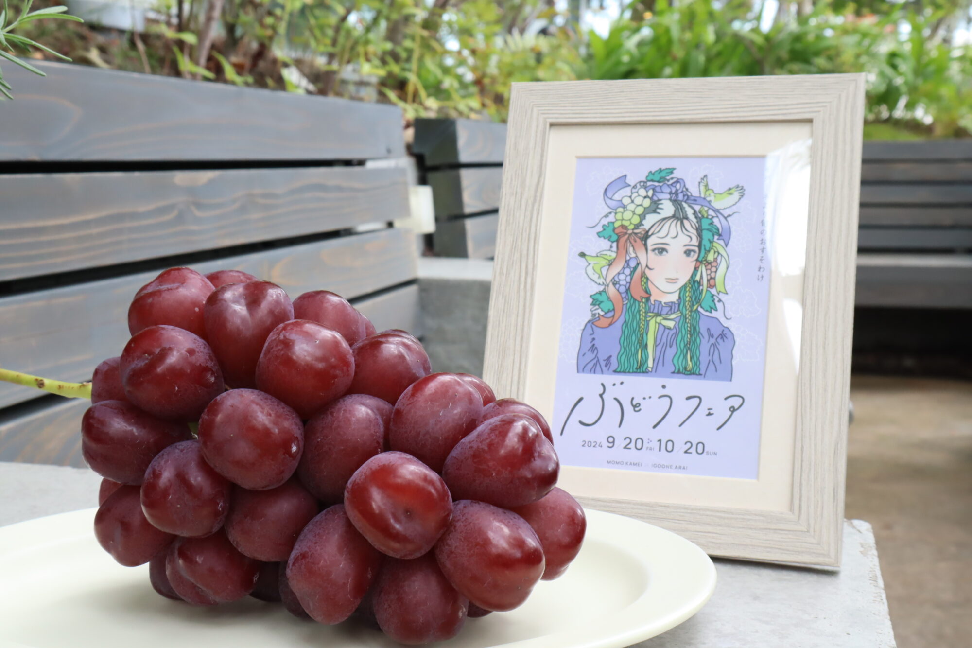 ぶどうFAIR2024】#亀井 桃 9/20 – 10/20 – IGOONE ARAI