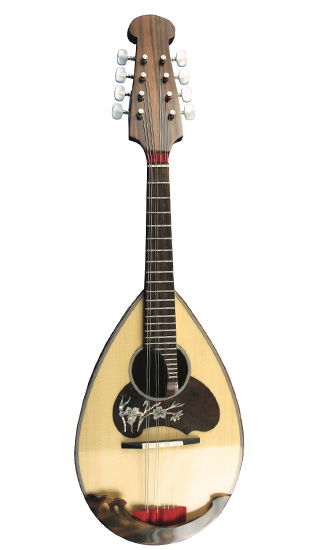 カラーチェマンドリン | 絃楽器のイグチ