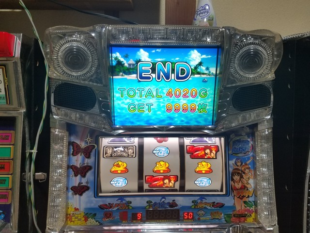 キュインぱちすろ南国育ち 1st vacation 掲示板 | P-WORLD