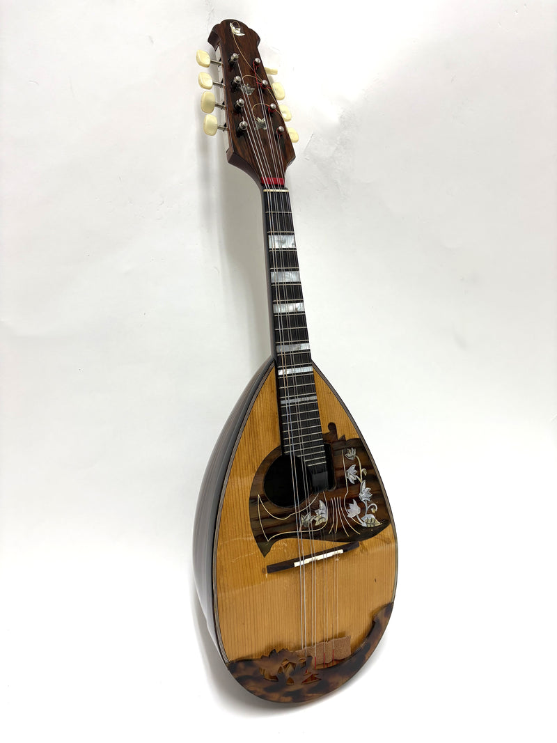 IMG_1457_800x.jpg?v=1763117695