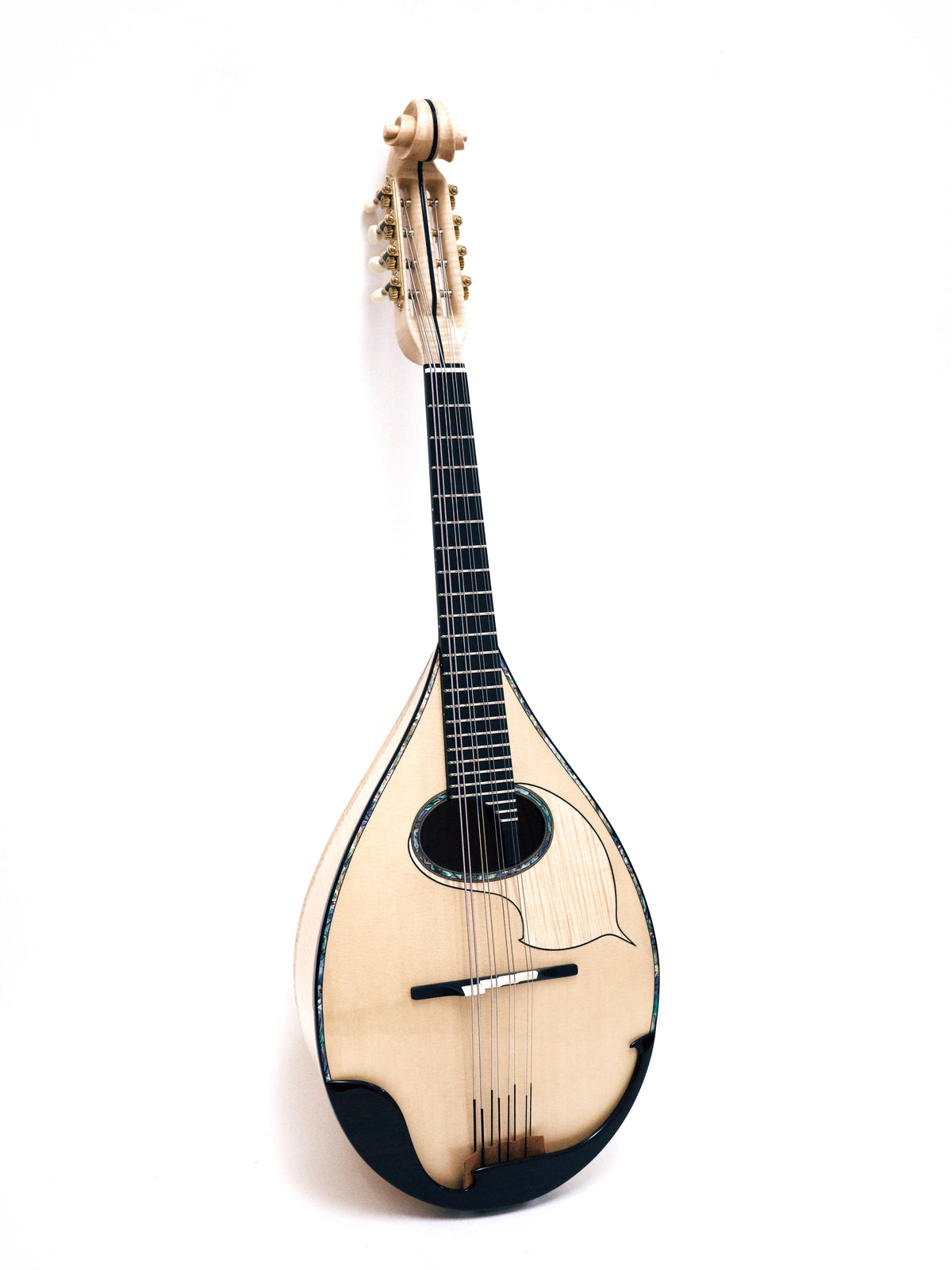 落合マンドラDS-S エンベルガーボディ | イケガク