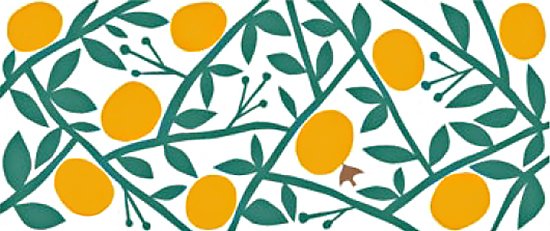 mikan-ミカン』フェイスタオル | 今治タオル取り扱い専門店「伊織