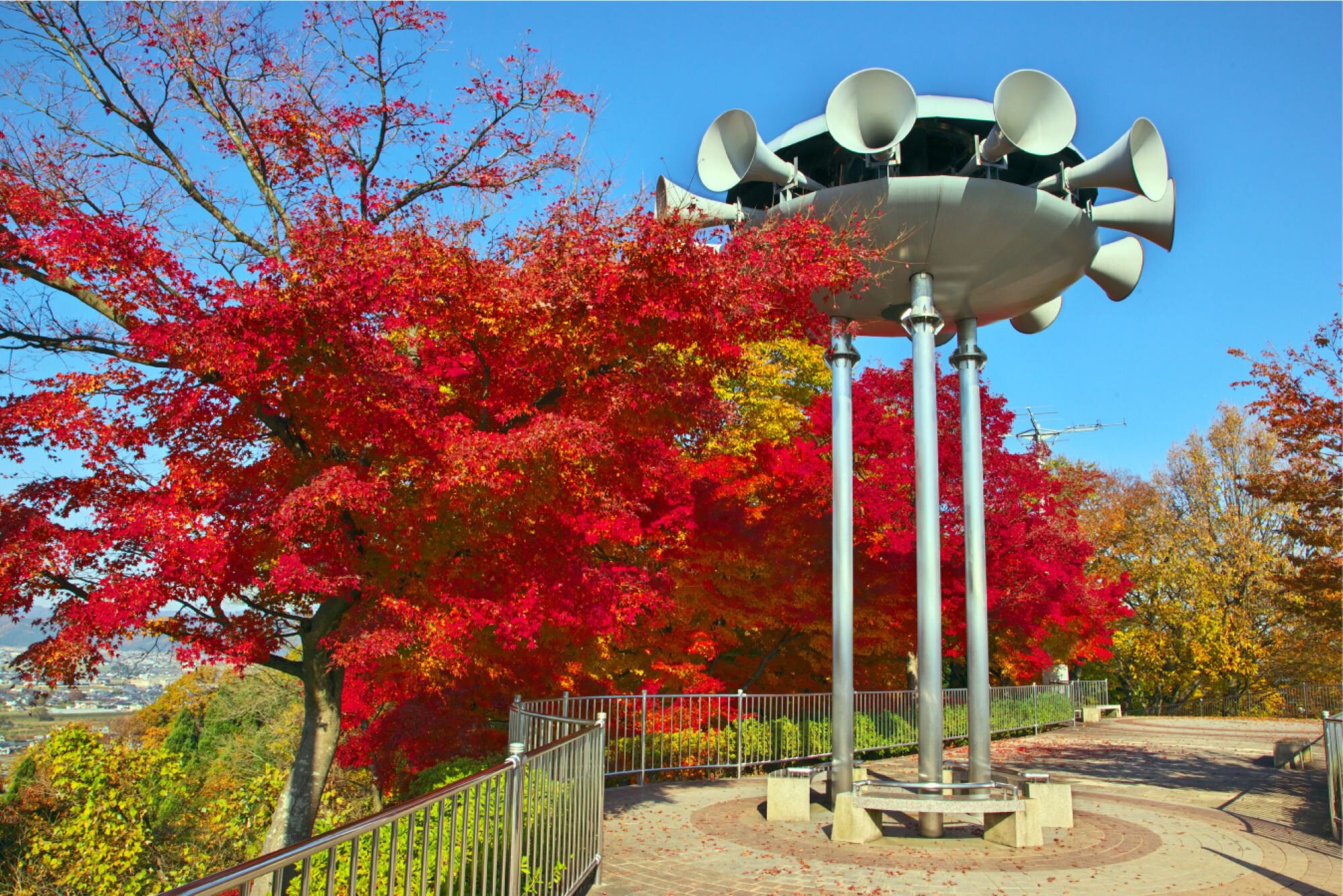 西山公園の紅葉(福井県) ｜紅葉名所2025
