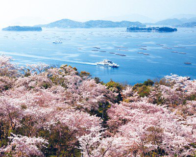 広島県の桜・花見が楽しめる公園おすすめ11選 - ウォーカープラス