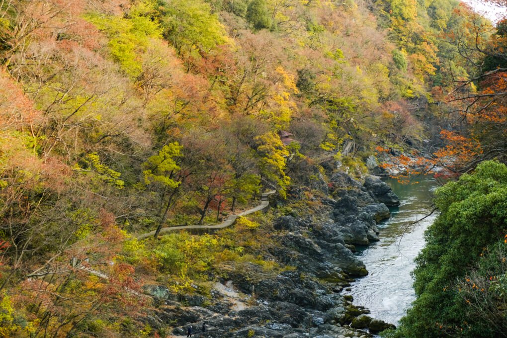 高津戸峡の紅葉(群馬県) ｜紅葉名所2025