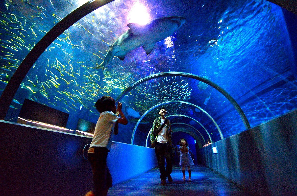 登別マリンパークニクス(北海道)の情報｜ウォーカープラス