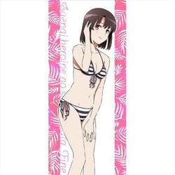 ヨドバシ.com - カーテン魂 冴えない彼女の育てかた Fine 描き下ろし