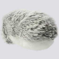 ヨドバシ.com - カシオ CASIO PE-M10SR [Moflin（モフリン） AIペット