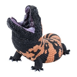 ヨドバシ.com - 動物の惑星 アニマルプラネット アメリカドクトカゲ