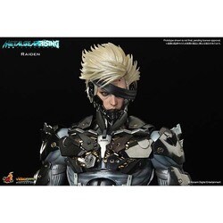 ヨドバシ.com - ホットトイズ HOT TOYS 雷電 [ビデオゲーム