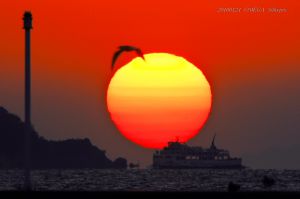 風早のだるま夕日 08-11-22 | GANREF