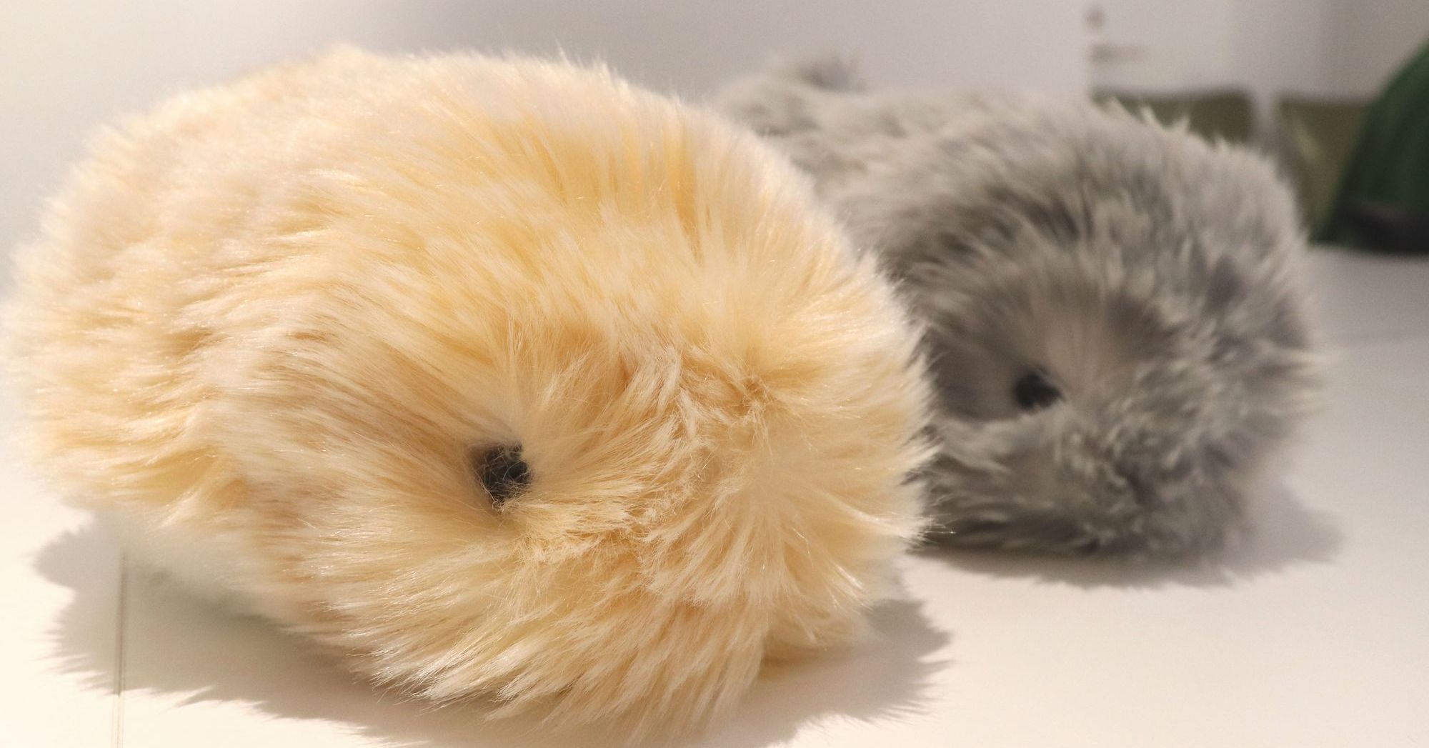 カシオが作ったモフモフAIロボット 生き物らしい「可愛さ」をどう設計