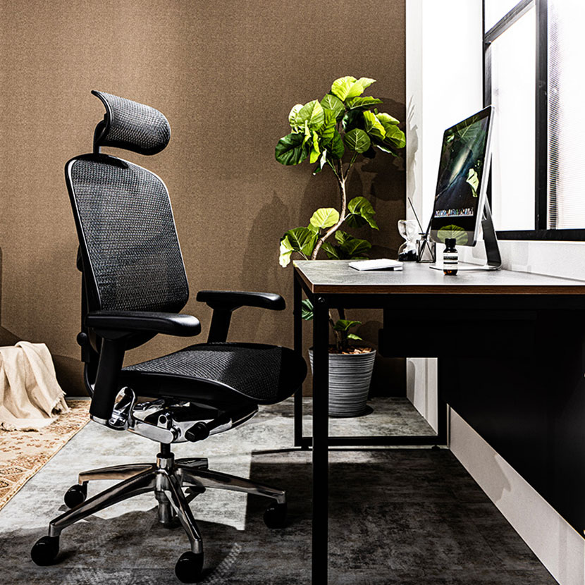 送料無料】 【グレー×グリーン:次回入荷未定】エルゴヒューマン