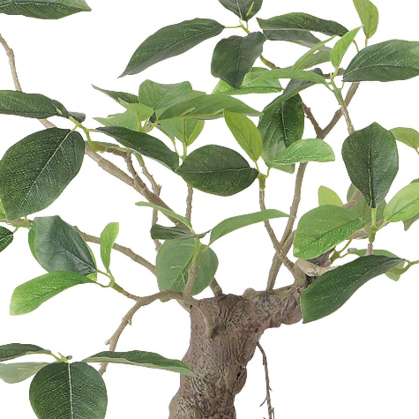 送料無料】 観葉植物 人工樹木 フェイクグリーン 造花 ガジュマル