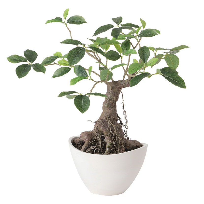 送料無料】 観葉植物 人工樹木 フェイクグリーン 造花 ガジュマル