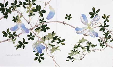 水彩画など100点。玉村豊男の絵画展が16日(土)より開幕 | チケットぴあ