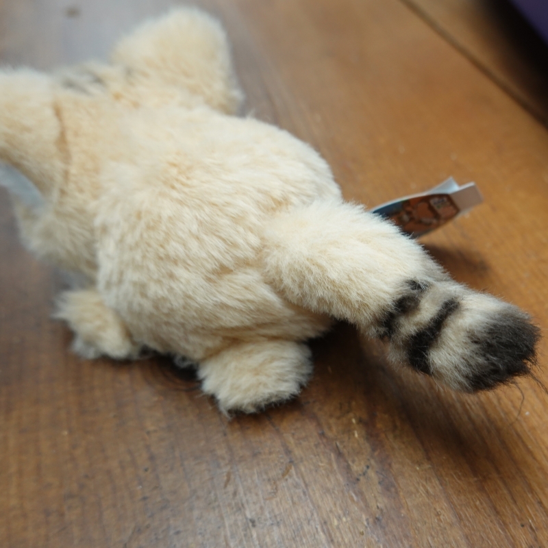 スナネコぬいぐるみ 手のひらサイズ | 那須どうぶつ王国ネット