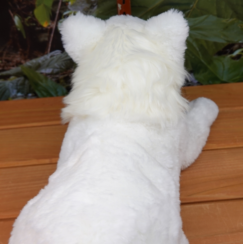 ひざオオカミ ホッキョクオオカミ S 【Original】 | 那須どうぶつ王国