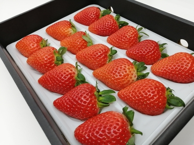 16101065001600_1610106845001_4