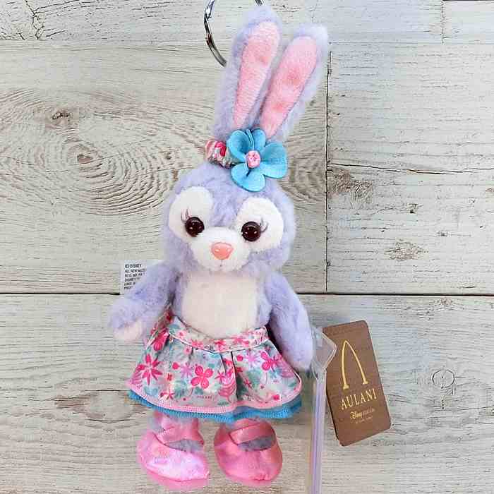 超最新入荷！ハワイ直輸入！ アウラニ ディズニーリゾート ディズニー