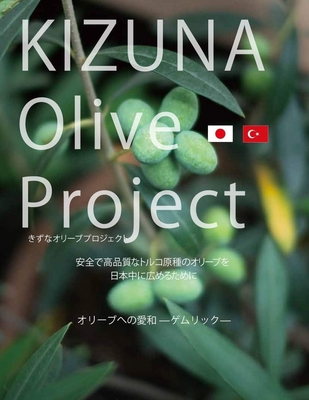 オリーブ苗木 2本 ゲムリック種 | 介護用品愛ショップ