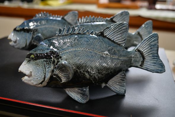 石鯛アート置物（クチジロ）体長 17cm | 車屋釣具店ネットショップ